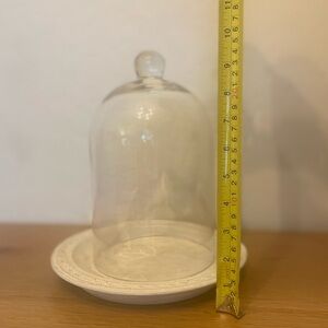 Large Cloche + Wood Base